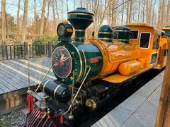 -合肥滨湖国家森林公园