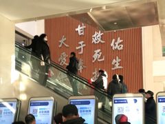 -天津医科大学肿瘤医院(本部院区)