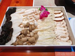 菌拼-玩煮炭火锅(延福街店)