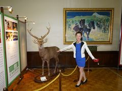 -北海道厅旧本厅舍(旧本庁舎)