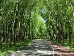 -泰达航母主题公园