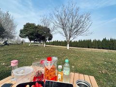 -汉长安城未央宫国家考古遗址公园