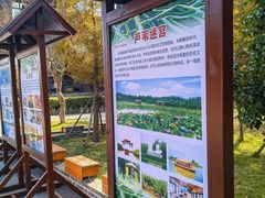 -泗洪洪泽湖湿地景区