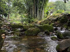 -青城山