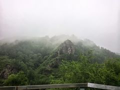 -御道口草原森林风景区