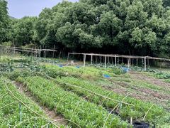 -悦禧耕岛酒店·指月坞餐厅·旺山特色农家乐