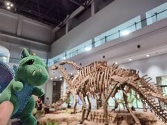 -自贡恐龙博物馆