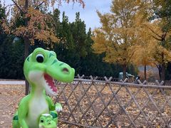 -北京西山国家森林公园