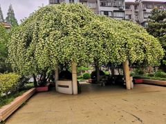 -同济新村