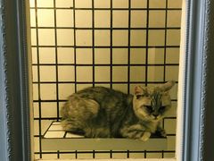 -娜娜家•Nana’Garden (福州道店)