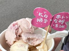 -金塔傣乡·云南德宏民族特色菜·傣味手抓饭(新亚洲店)