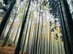 -山王坪喀斯特国家生态公园