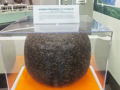-中国茶叶博物馆(双峰馆区)