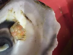 -望江门小龙虾·烧烤(九堡店)