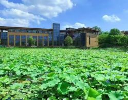 -雅馨国际月子中心