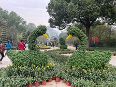 -南山植物园
