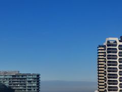 -墨尔本皇家植物园