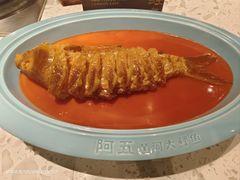 -阿五黄河大鲤鱼(英协路店)