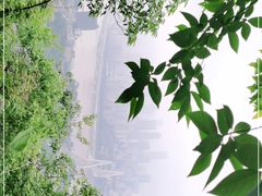 -南山植物园