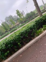 -HEYAN长风荷妍专业脱毛美肤
