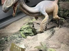 -辽宁古生物博物馆