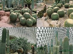 -上海辰山植物园