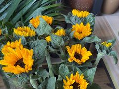 -北边的花店(泛悦城市广场店)