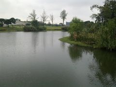 -新江湾城公园