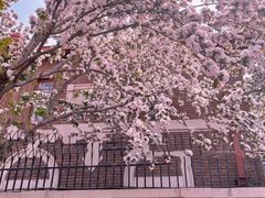 -民园广场