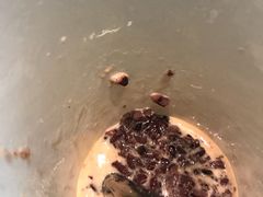 -杯欢制茶(三里屯店)