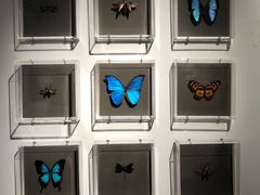 -剪刀石头布家居广场