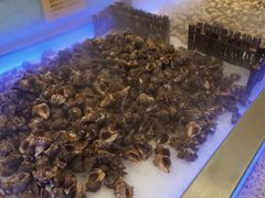 -加尔森烤肉海鲜·火锅烧烤自助