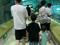 -福州罗源湾海洋世界旅游区