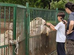 -秦皇岛野生动物园
