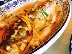 清蒸白水鱼-洞天食府(北大街店)
