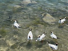 -青海湖二郎剑景区