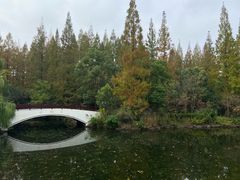 -东平国家森林公园