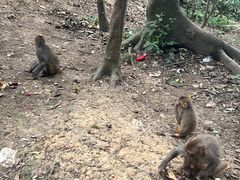 -黔灵山公园