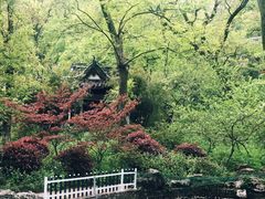 -南山风景名胜区