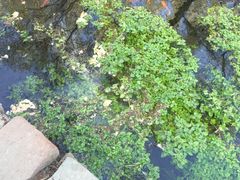 -水磨沟公园