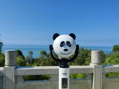 -广东惠东海龟国家级自然保护区