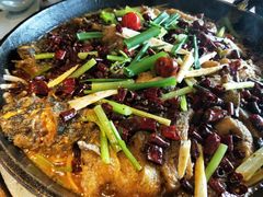 -老板恋上鱼(恒隆广场店)