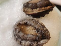 -大渔小鲜火锅店