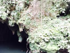 -怀托摩萤火虫洞