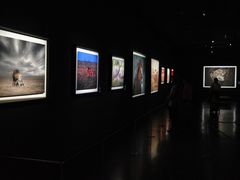 -罗红摄影艺术馆