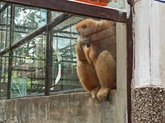 -昆明动物园
