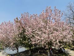 -北陵公园