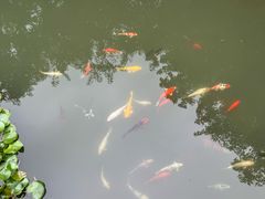 -春风习习