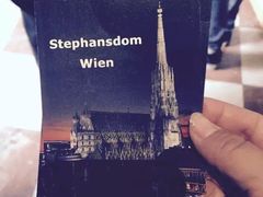 -斯蒂芬主教座堂(Stephansdom)