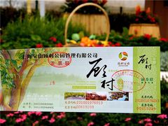 -顾村公园